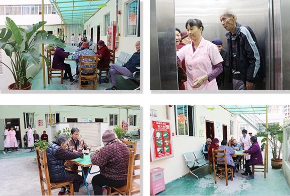 江门市新会区颐和养老院服务项目图3惬意的环境、感受岁月静好
