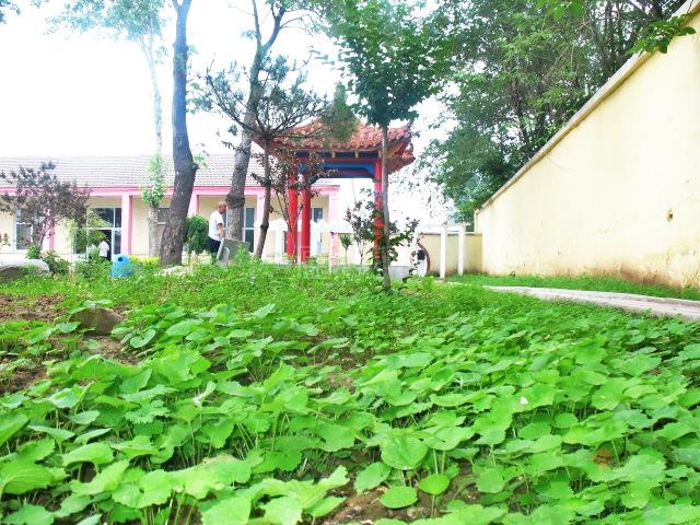 赵县新寨店区域敬老院环境图-休息区