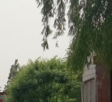 探索老年文化活动新模式：解锁无限可能新闻封面