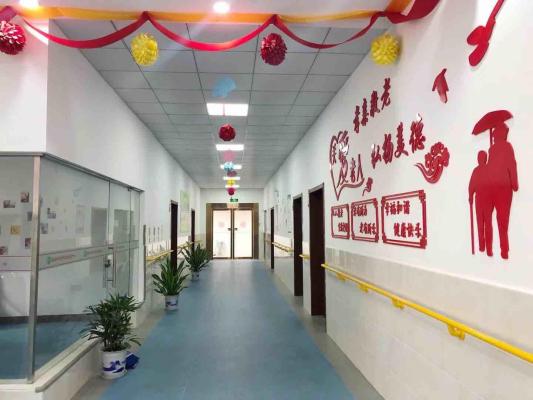 芜湖和平老年医养服务中心机构封面