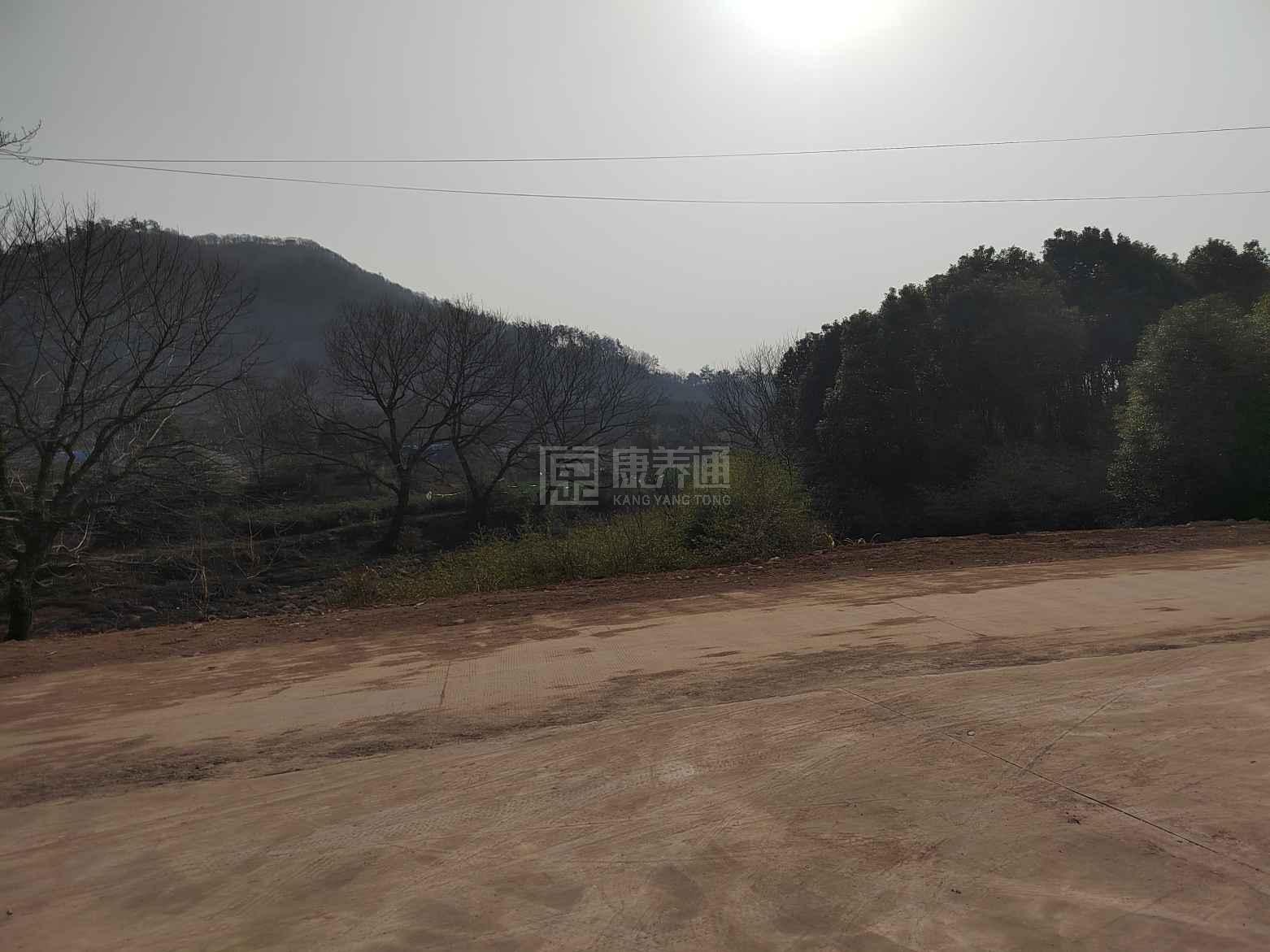 铜陵周氏养老有限公司七井分公司服务项目图1健康安全、营养均衡、味美可口