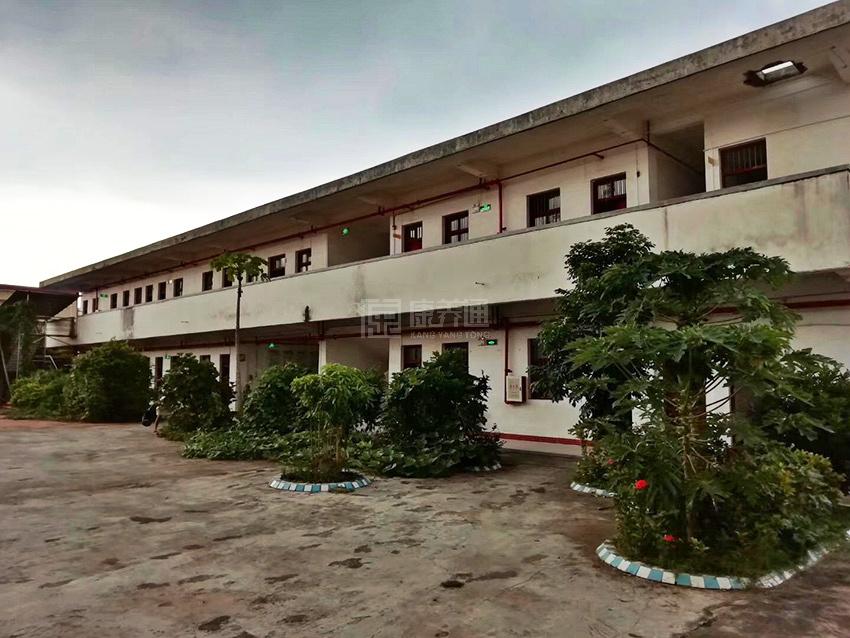 兴宁市慈爱养老院服务项目图4让长者主动而自立地生活