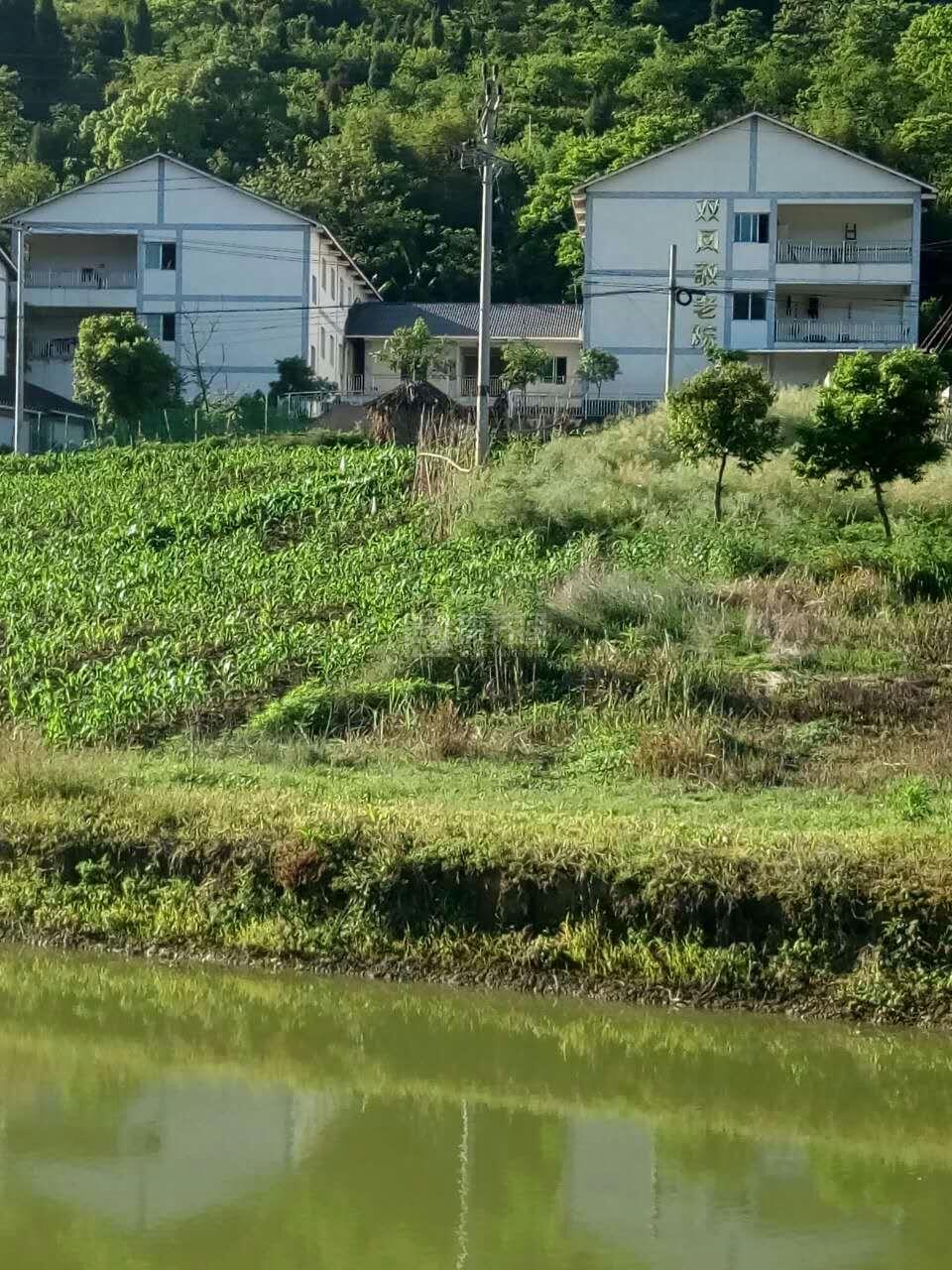 重庆市合川区双凤敬老院环境图-餐台