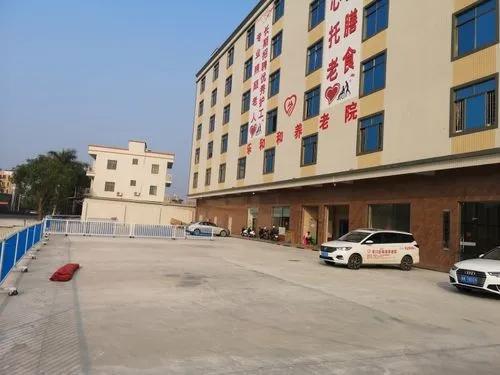 中老年人的绘画作品展示与创作思路新闻封面