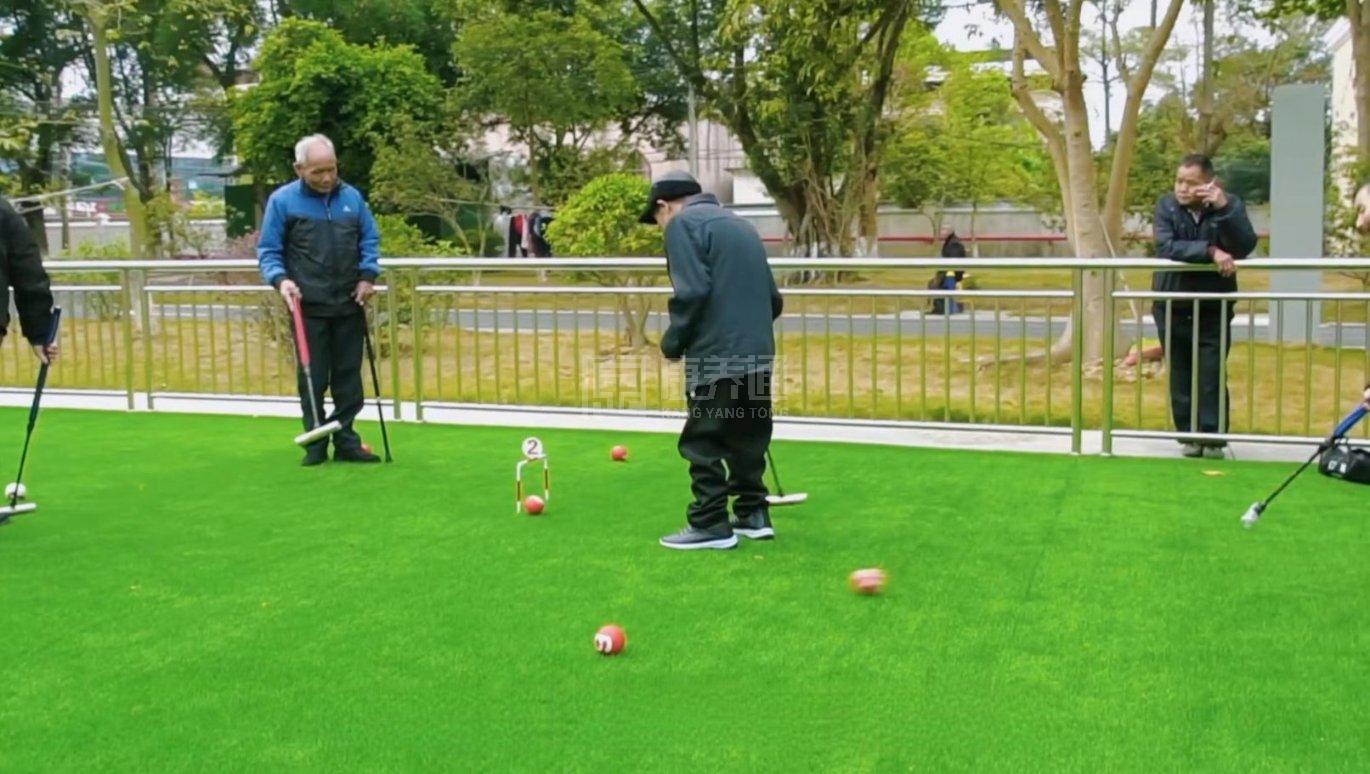 公庄镇综合养老服务中心环境图-门球