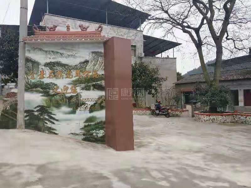 重庆市沙坪坝区金豪名鼎老年公寓服务项目图2亦动亦静、亦新亦旧