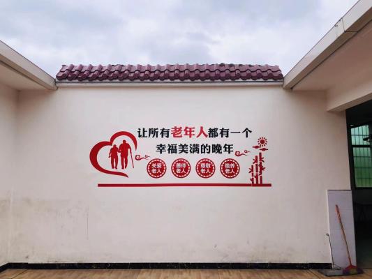 洞口县红宜养老服务中心机构封面