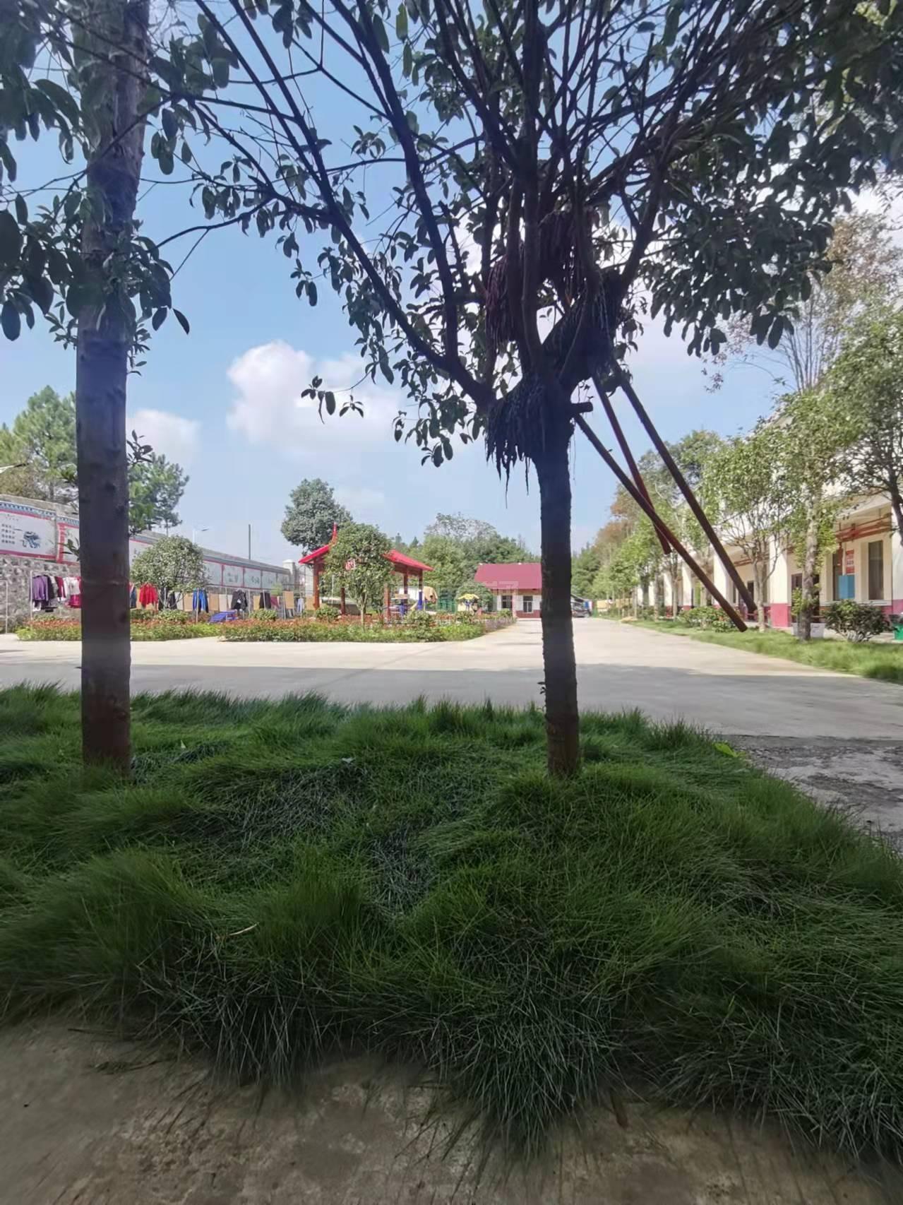 邵东市康年华养老公寓轮播图1