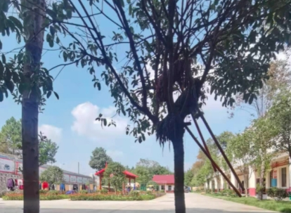 老年旅游市场的开发与营销策略新闻封面