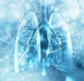 肺小结节不必恐慌，“敌不动，我不动”  新闻封面