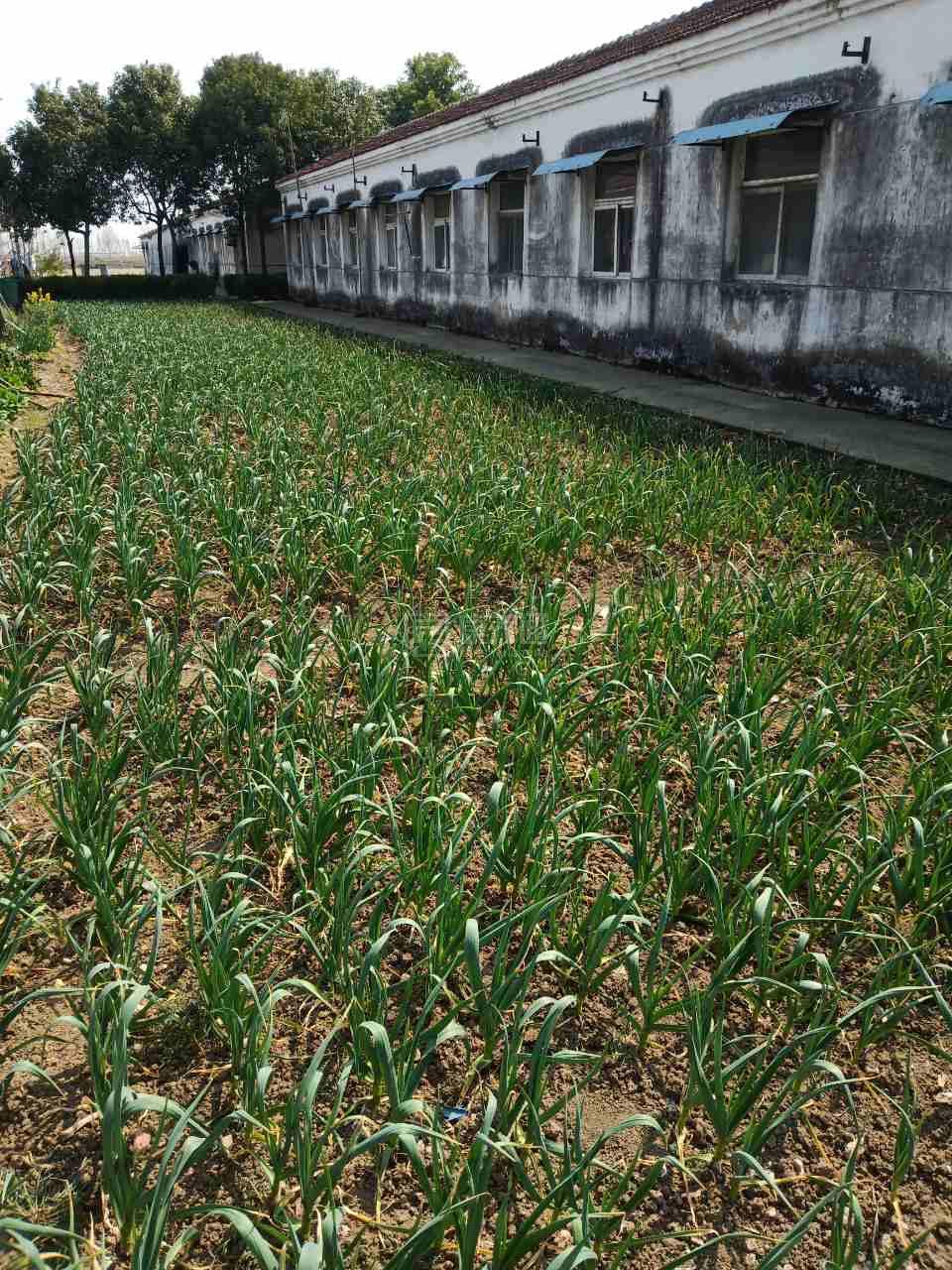 淮南市寿县保义镇夕阳红敬老院关于我们-轮播图1