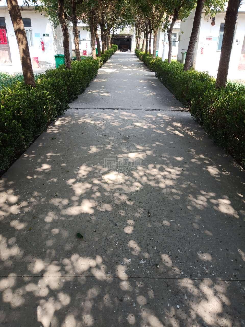 淮南市寿县保义镇夕阳红敬老院环境图-餐台