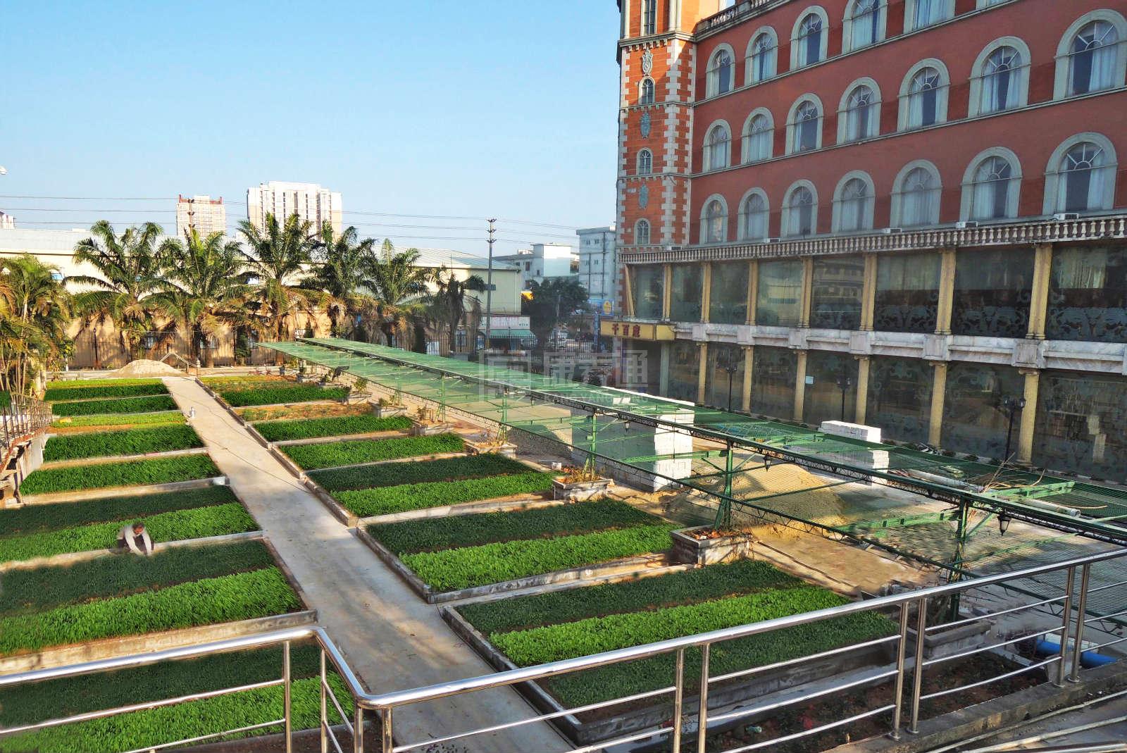 东莞豪享康乐养老院有限公司轮播图1