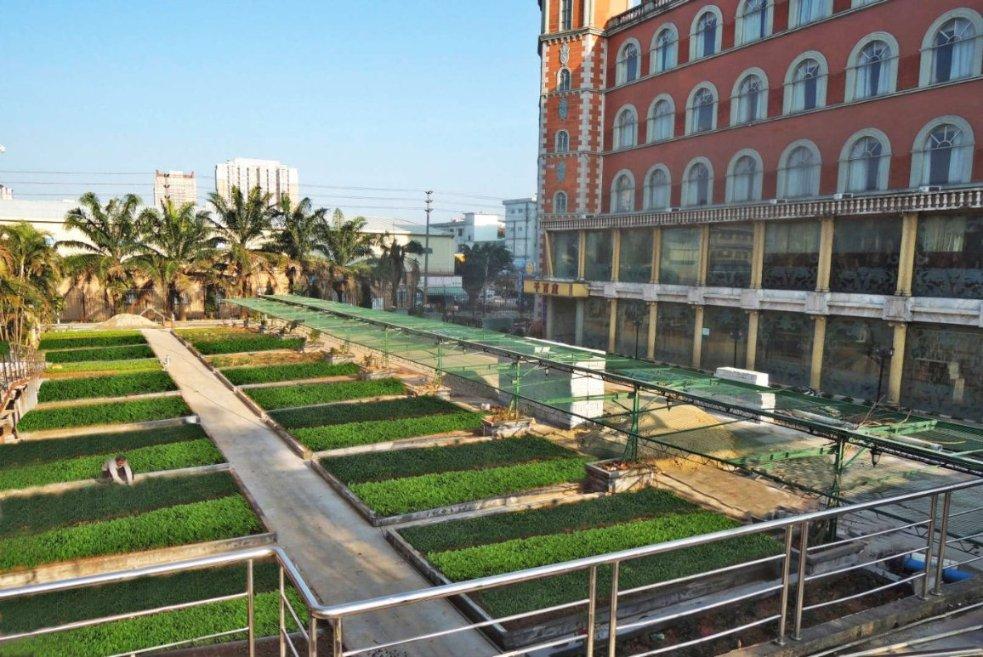 中国康养召开党委（扩大）会议 研究部署作新闻封面