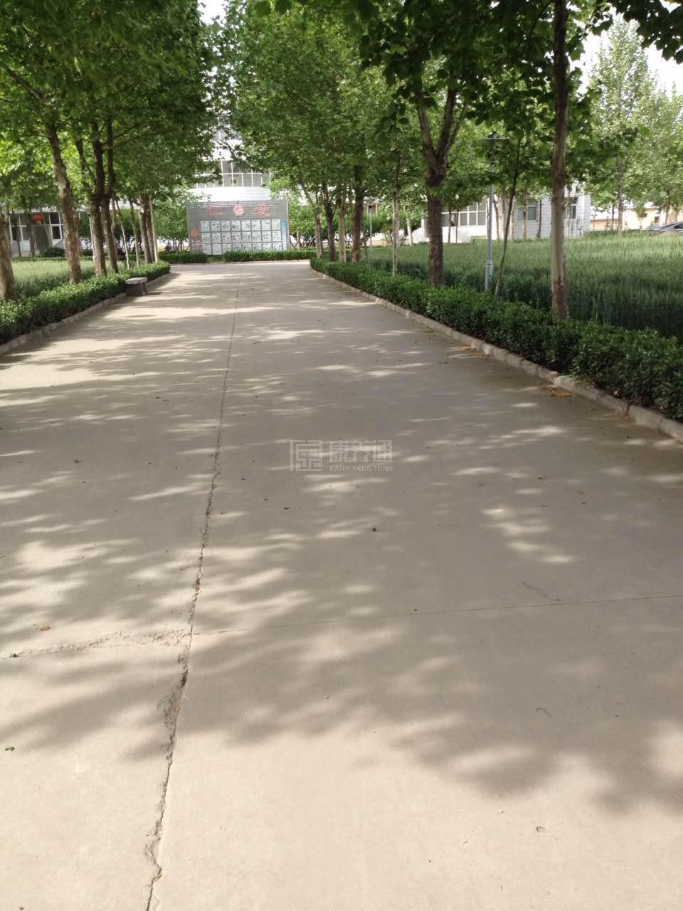 南和县光荣院轮播图1