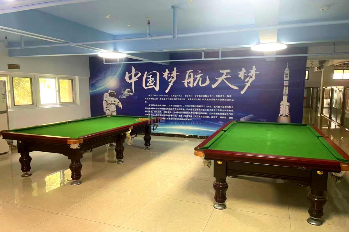 菏泽市牡丹区桂陵社区大爱养老服务中心环境图-活动室