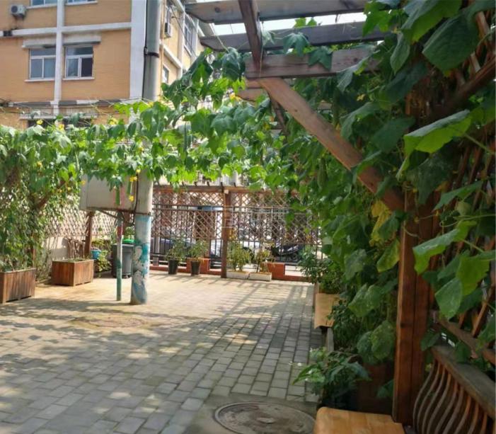 朝阳垡头一区社区养老服务驿站环境图-洗手间