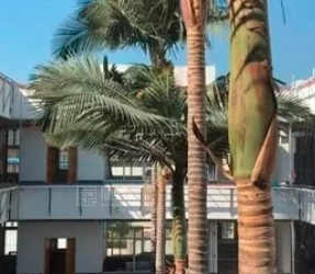 莆田市十大高端养老院排名前十养老院精选新闻封面