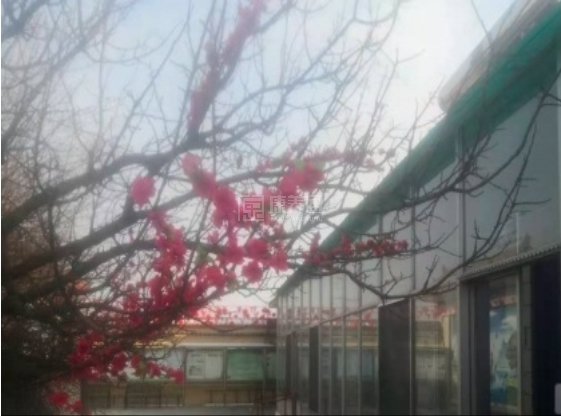 原平市康乃馨养老院关于我们-轮播图1