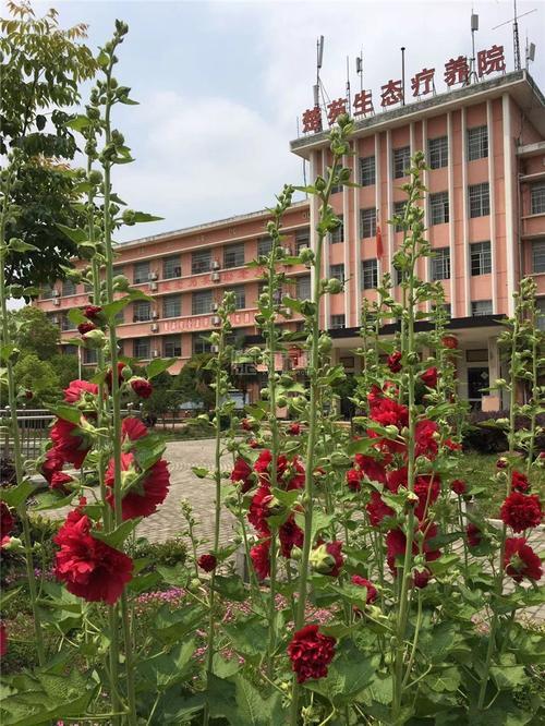 随州新楚苑生态养老院轮播图3