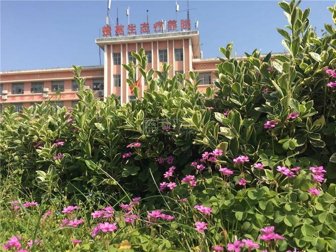 随州新楚苑生态养老院轮播图2