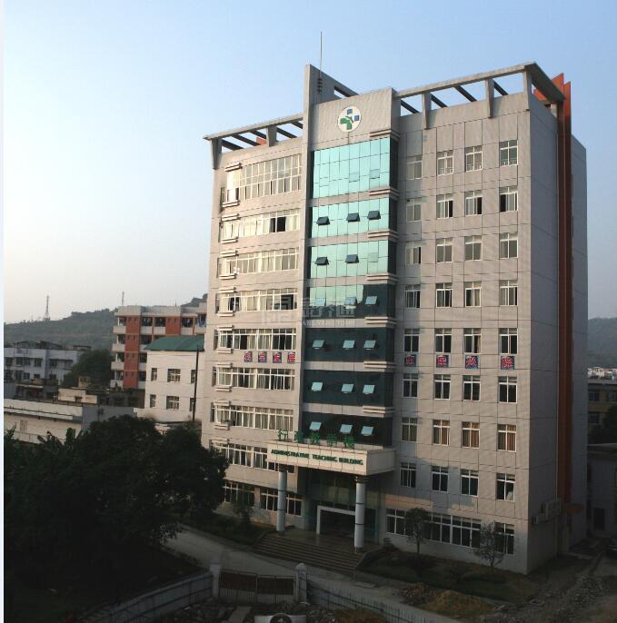 重庆市大足区人民医院老年护养中心服务项目图3惬意的环境、感受岁月静好