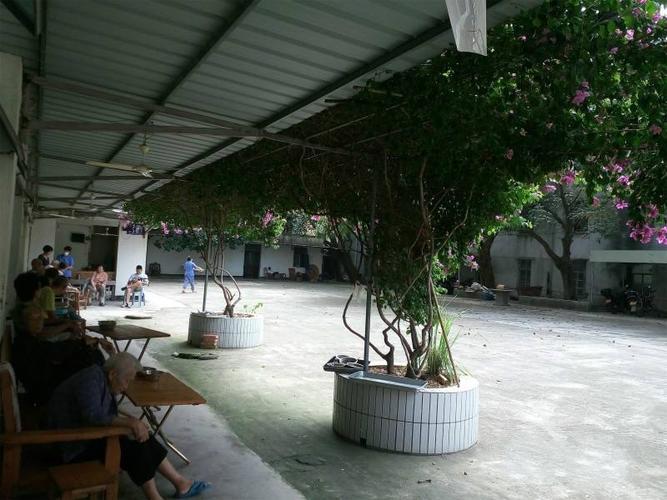 为老年人提供便捷的医疗服务新闻封面