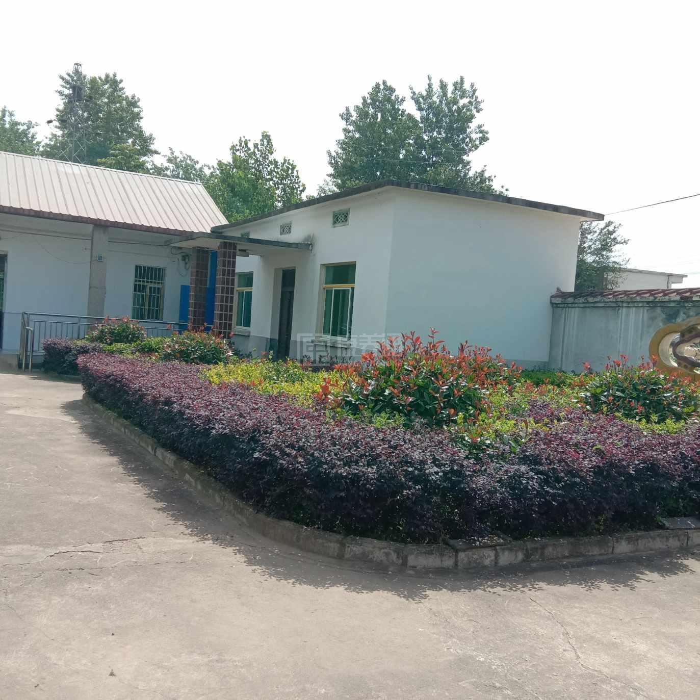 枞阳县藕山镇中心敬老院服务项目图2亦动亦静、亦新亦旧