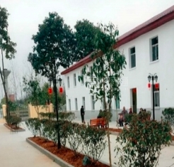 新余市十大高端养老院排名前十养老院精选新闻封面