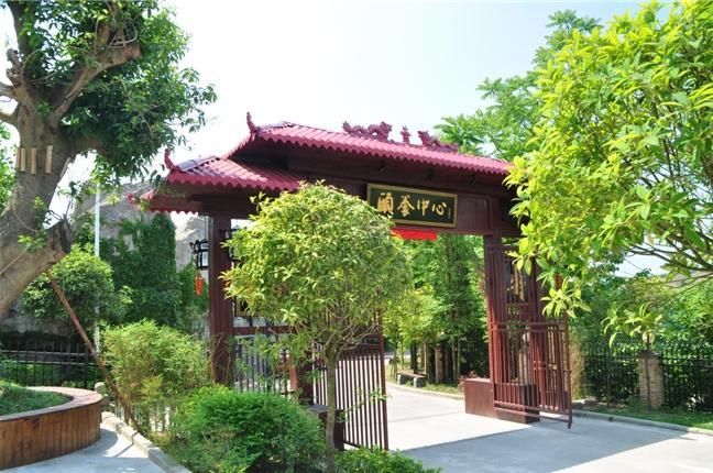 中老年人的广场舞健身心得新闻封面