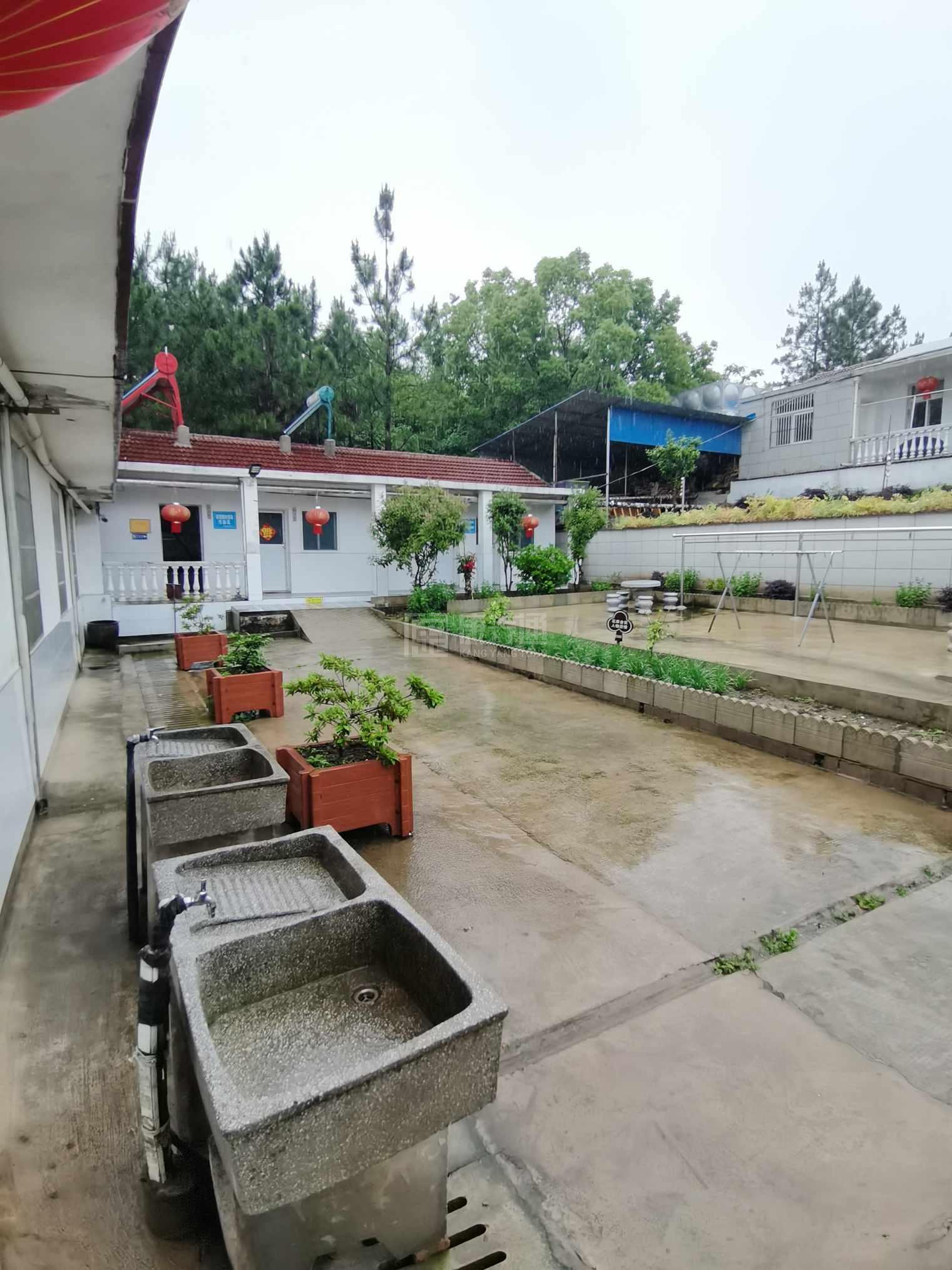 枞阳县金社镇中心敬老院服务项目图3惬意的环境、感受岁月静好