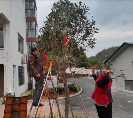 武夷山市社会福利中心关于我们-轮播图2