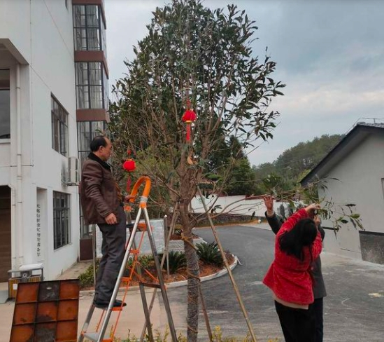 税延型养老保险的困境及发展新闻封面