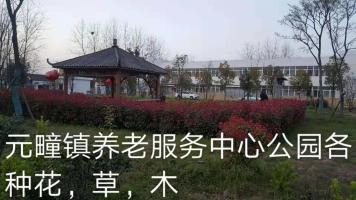 肥东县元疃镇养老服务中心机构封面