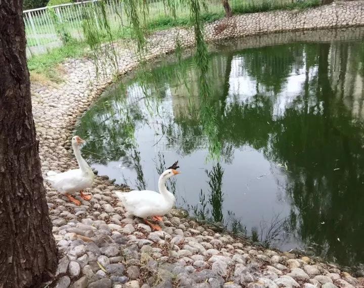 上海金福居敬老院关于我们-轮播图1