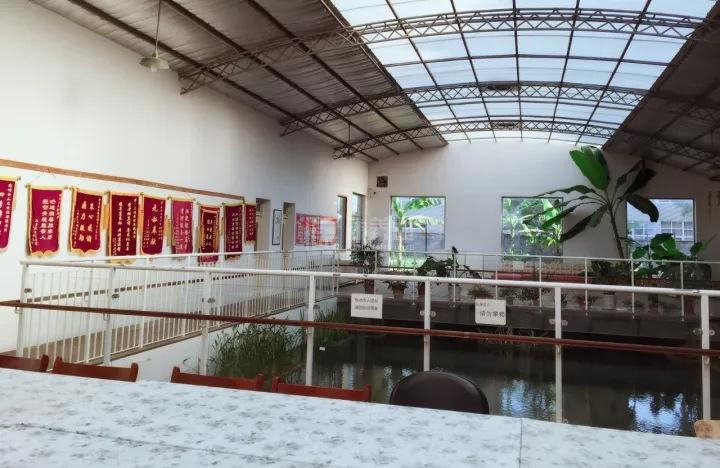 上海金福居敬老院轮播图2