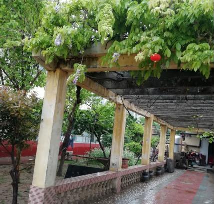 许昌市祥乐园老年公寓服务项目图5为长者生命健康保驾护航