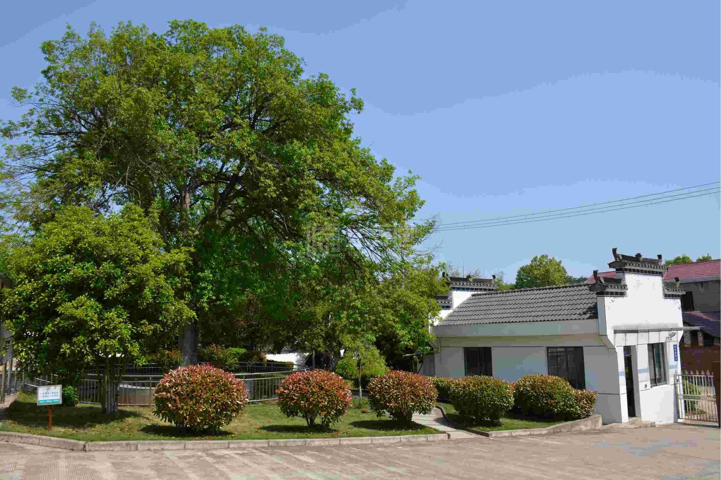 宣城市德祥颐养院服务项目图1健康安全、营养均衡、味美可口