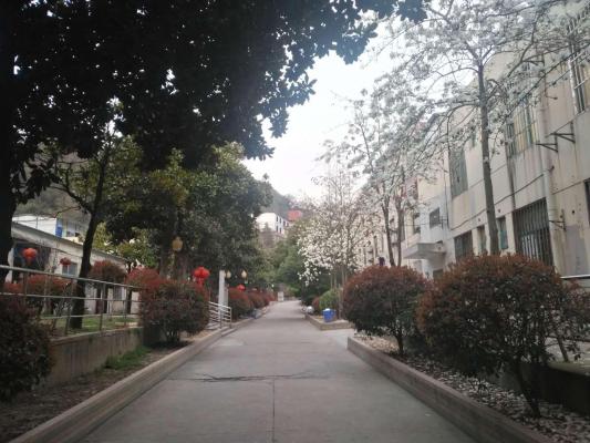 南京市鼓楼区向阳养老院机构封面
