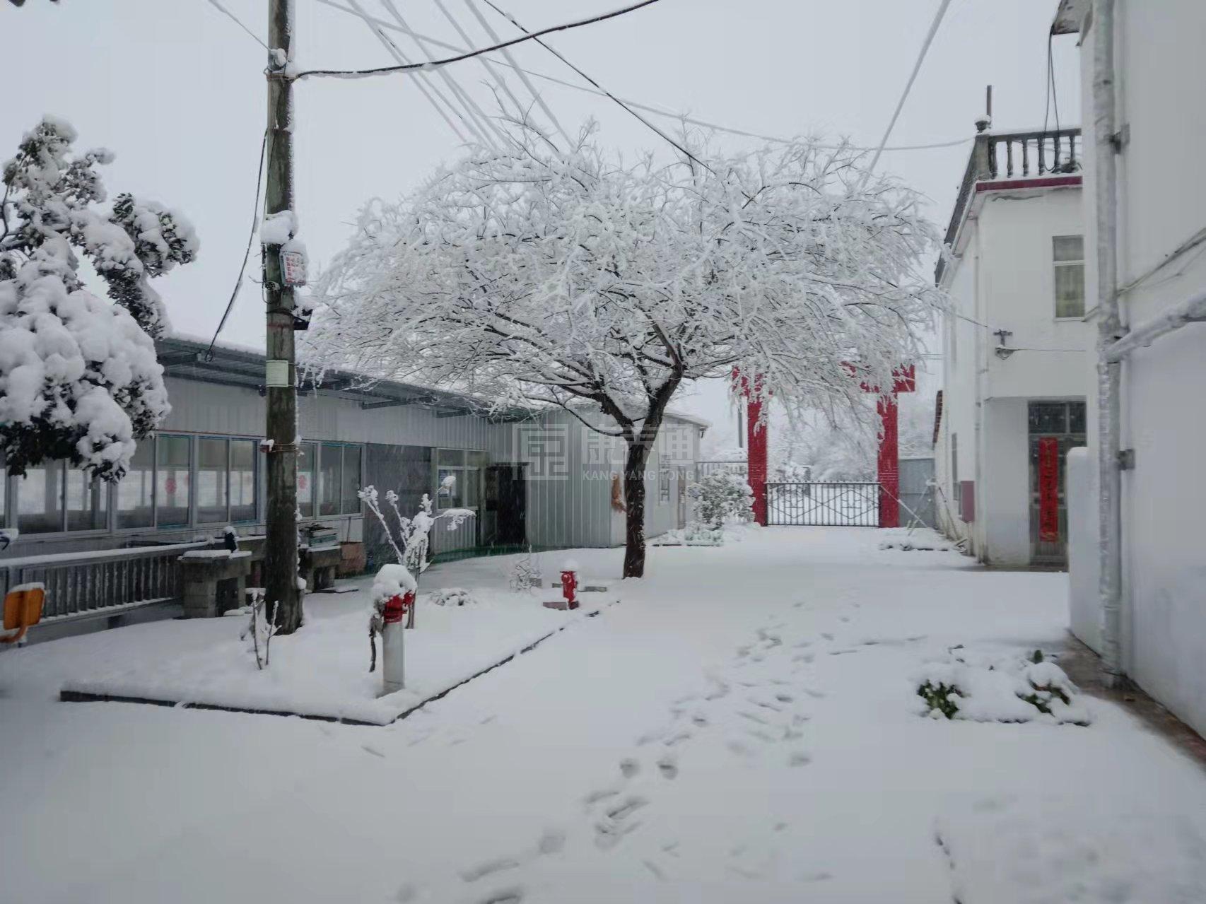 桐城市青草镇康乐养老服务中心环境图-餐台