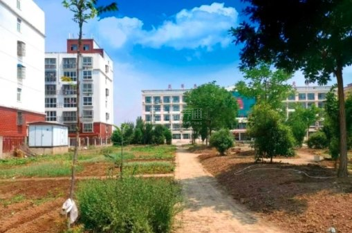 息县爱馨老年公寓关于我们-轮播图1