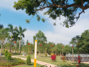 惠州市惠城区阳光老年公寓关于我们-轮播图1