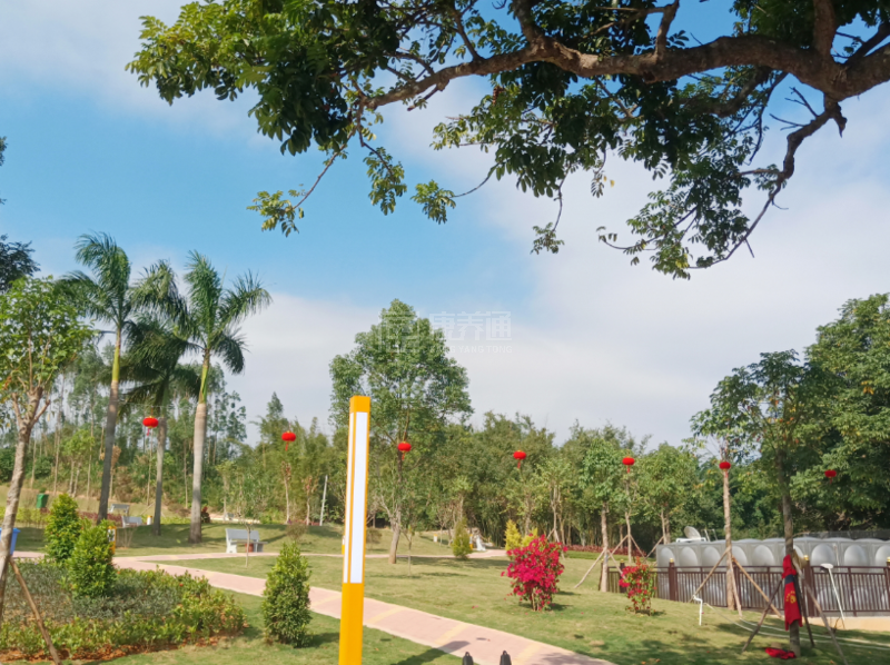 惠州市惠城区阳光老年公寓轮播图2