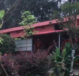 失能老人的长期照护体系建设新闻封面