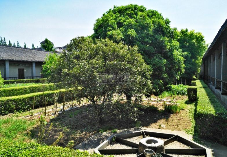 上海市崇明绿港养老公寓环境图-洗手间