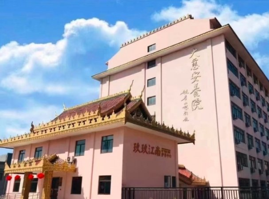 玖玖江南·大慈安养院机构封面