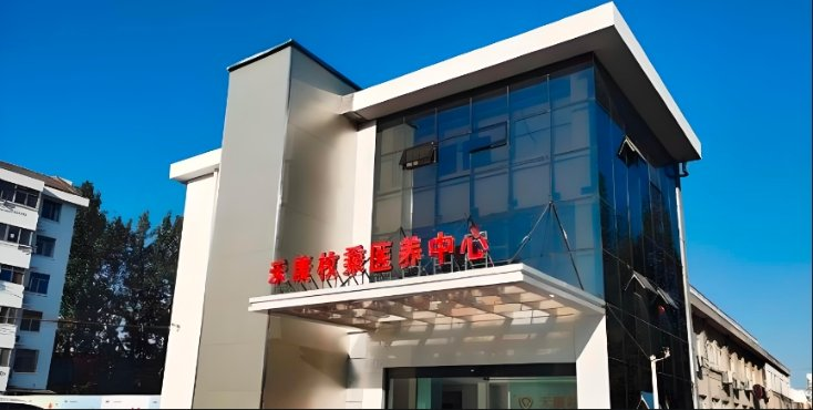 关注老年人的情感困境新闻封面