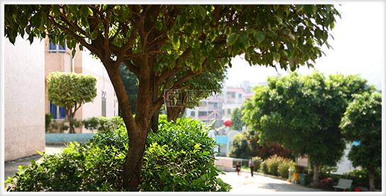 东莞市樟木头真情护老院服务项目图5为长者生命健康保驾护航