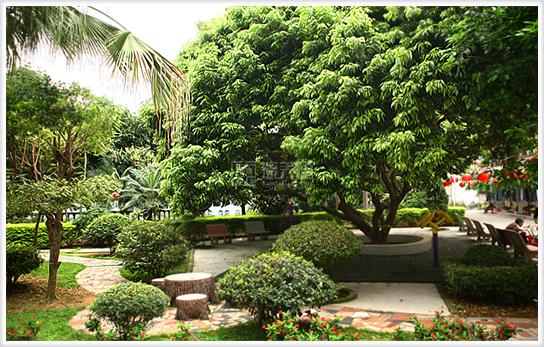 东莞市樟木头真情护老院服务项目图1健康安全、营养均衡、味美可口