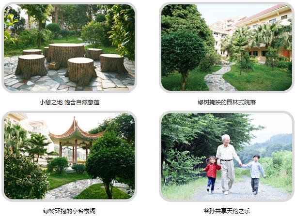 东莞市樟木头真情护老院服务项目图2亦动亦静、亦新亦旧